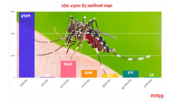 डेंगुका बिरामी थपिँदै, कुन प्रदेशमा कति?